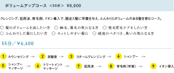 ボリュームアップコース＜55分＞¥6,600 クレンジング、低周波、育毛剤、イオン導入で、頭皮と髪に栄養を与え、ふんわりとボリュームのある髪を育むコース。