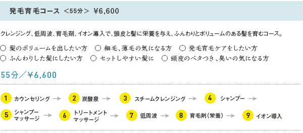 発毛育毛コース＜55分＞¥6,600 クレンジング、低周波、育毛剤、イオン導入で、頭皮と髪に栄養を与え、ふんわりとボリュームのある髪を育むコース。