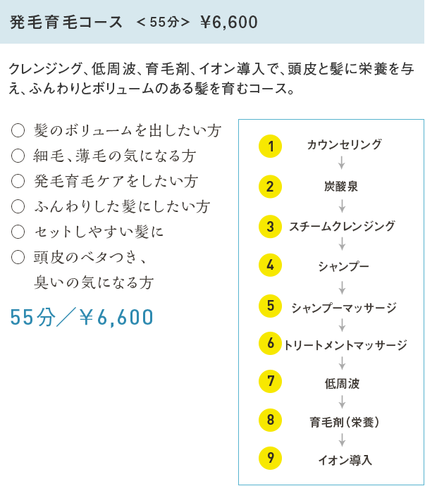 発毛育毛コース＜55分＞¥6,600 クレンジング、低周波、育毛剤、イオン導入で、頭皮と髪に栄養を与え、ふんわりとボリュームのある髪を育むコース。