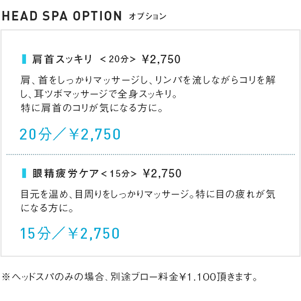 HEAD SPA OPTION